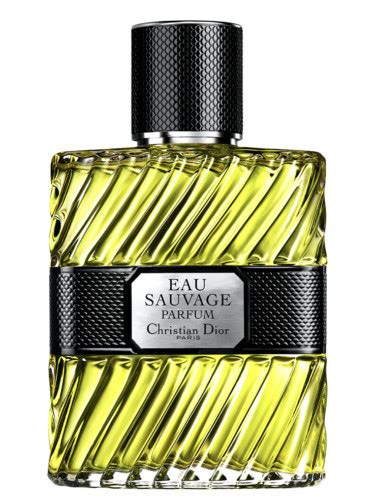 action parfum 2017savage dior|dior sauvage vanilla.